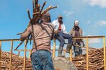 Cuba sufre su peor zafra en un siglo y Central Romana consolida producci&oacute;n de az&uacute;car con los Fanjul