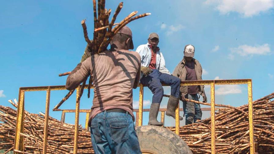 Cuba sufre su peor zafra en un siglo y Central Romana consolida producción de azúcar con los Fanjul