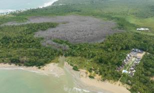 La pradera marina de playa en Samaná se degrada tras la muerte de un manglar clave