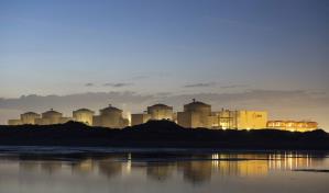La presencia de medusas paraliza la mayor central nuclear de Francia La presencia de medusas paraliza la mayor central nuclear de Francia