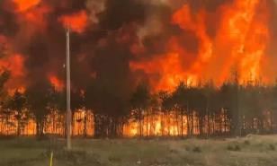 M&aacute;s de 200 incendios fuera de control en Canad&aacute;