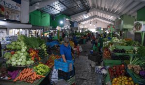 La producción de alimentos crece 5.45 % en el primer semestre de este año