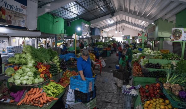 Director de la FAO dice RD es un ejemplo de la lucha contra el hambre