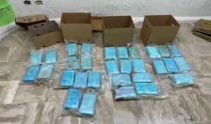 Decomisan 30 paquetes de cocaína dentro de cargamento de piña que sería enviado a Alemania