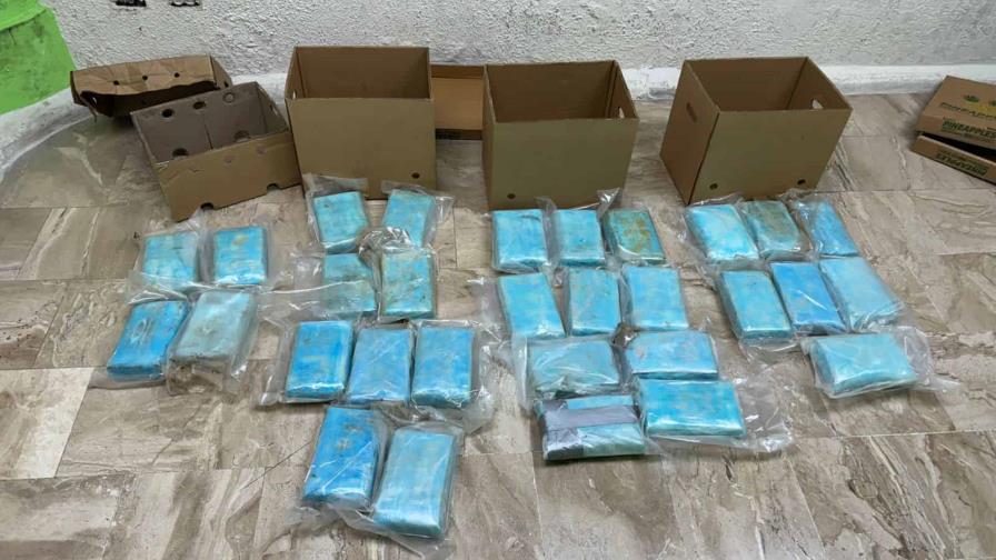 Decomisan 30 paquetes de cocaína dentro de cargamento de piña que sería enviado a Alemania