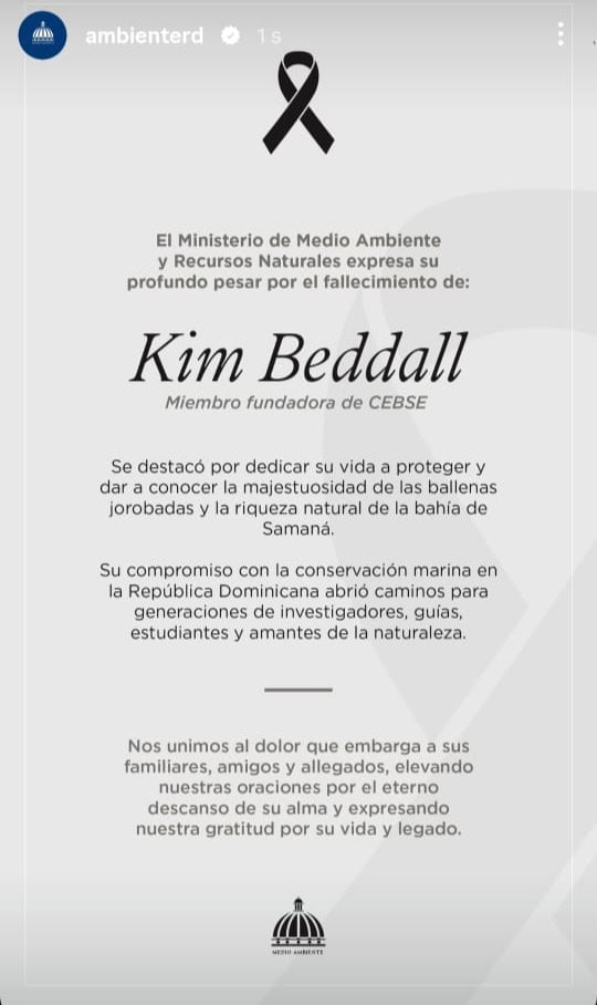 Infografía