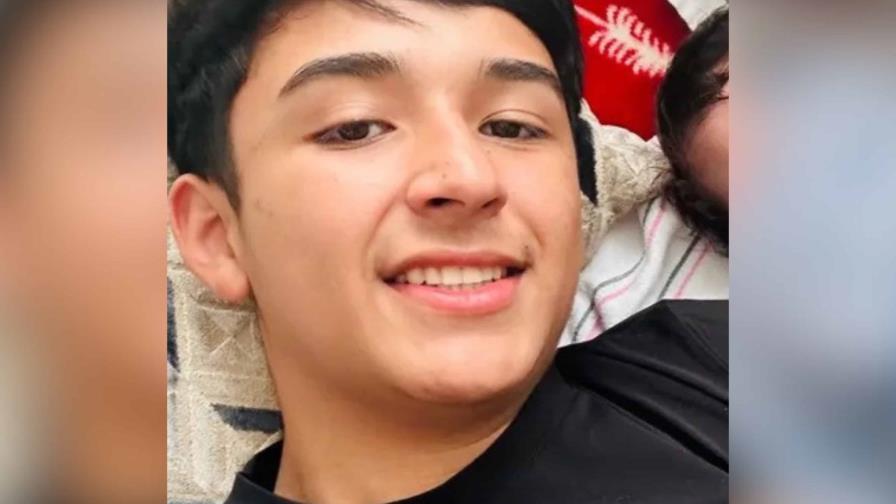 Agentes del ICE arrestan a un joven chileno que paseaba a su perro en Los Ángeles Agentes del ICE arrestan a un joven chileno que paseaba a su perro en Los Ángeles