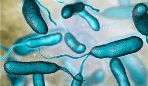 Suben a 10 las muertes por la bacteria come carne en las costas de EE. UU. este a&ntilde;o