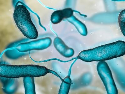 Infección marina mortal: Caso de Vibrio vulnificus en navegante