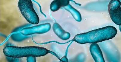 Florida registra la primera muerte de 2026 en EE. UU. por bacteria come carne en el mar