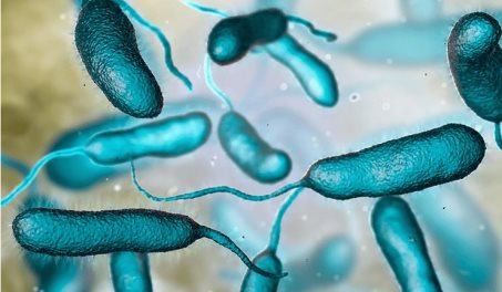 Florida registra la primera muerte de 2026 en EE. UU. por bacteria come carne en el mar