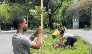 Fundación Ecológica Renacer impulsa jornada de reforestación en Cristo Rey
