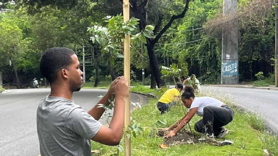 Fundación Ecológica Renacer impulsa jornada de reforestación en Cristo Rey