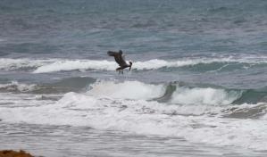 Puerto Rico se prepara para tormenta Erin ante pronóstico de fuertes marejadas y lluvias