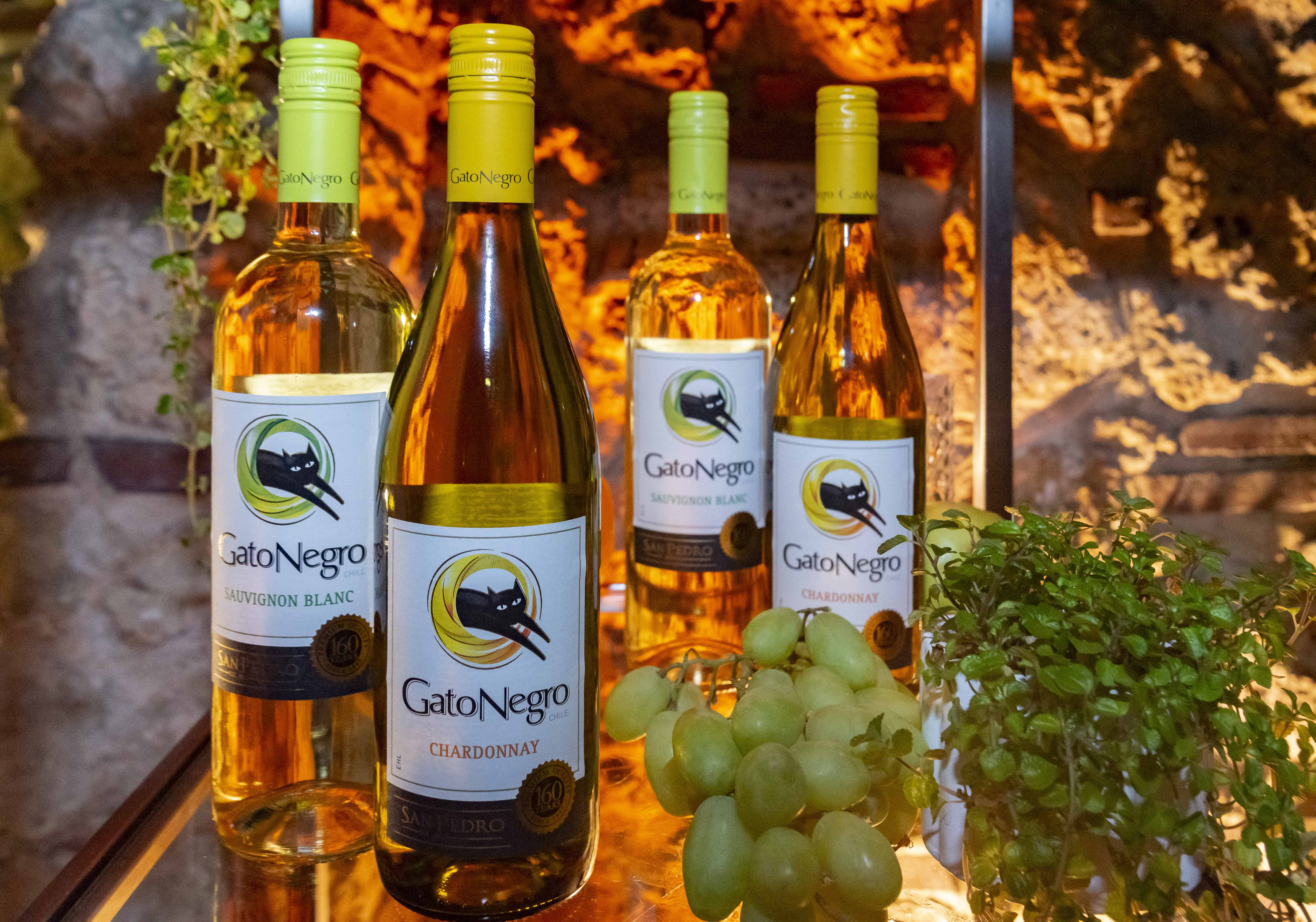 Variedad de vinos blancos de Gato Negro.
