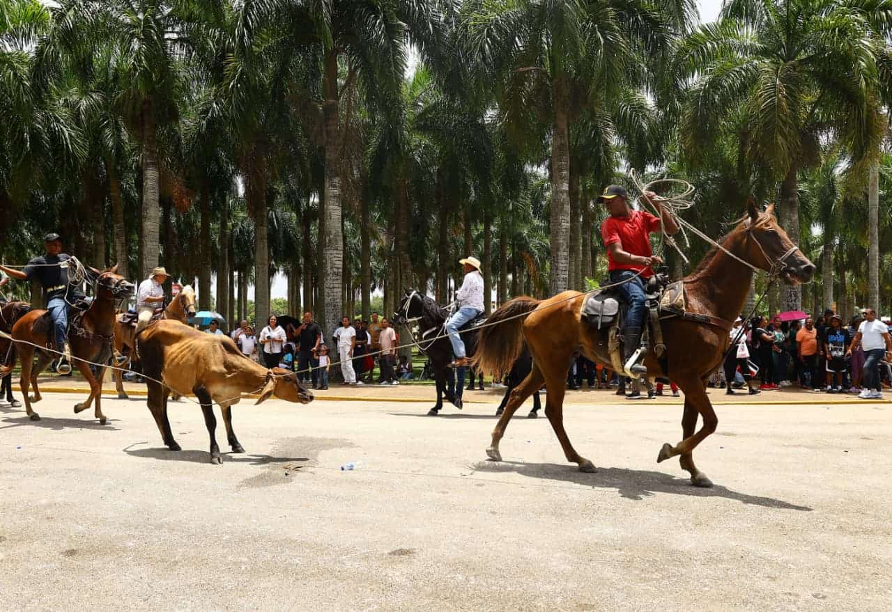 Este año, 215 toros fueron ofrendados a la Virgen.