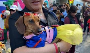 Festejo anticipado en La Paz por el Día de San Roque reúne a perros y humanos