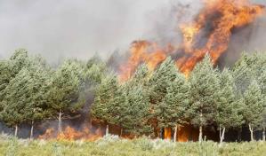 El sur de Europa se consume entre incendios y calor