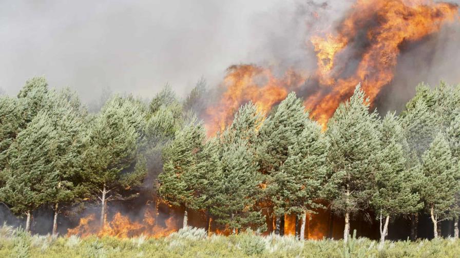 El sur de Europa se consume entre incendios y calor
