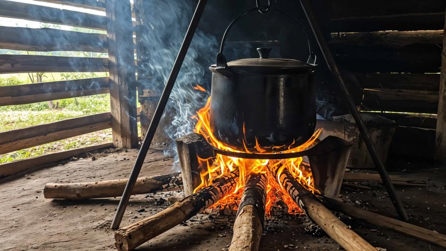 Latinoamérica requiere 7,700 millones de dólares para dejar de cocinar a leña para 2035