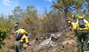 Autoridades someten a consulta pública reglamento para emergencias ambientales