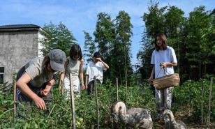 Ni hombres ni estrés: comunidades 100 % femeninas florecen en China