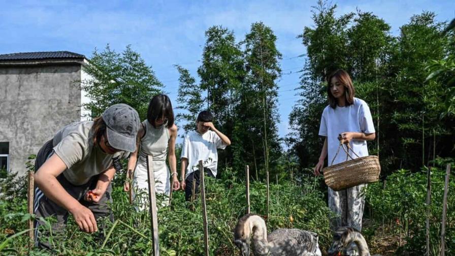 Ni hombres ni estrés: comunidades 100 % femeninas florecen en China