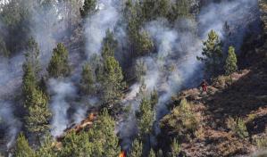 Superficie quemada en España 2025 es igual a 35 veces el tamaño del Distrito Nacional en RD