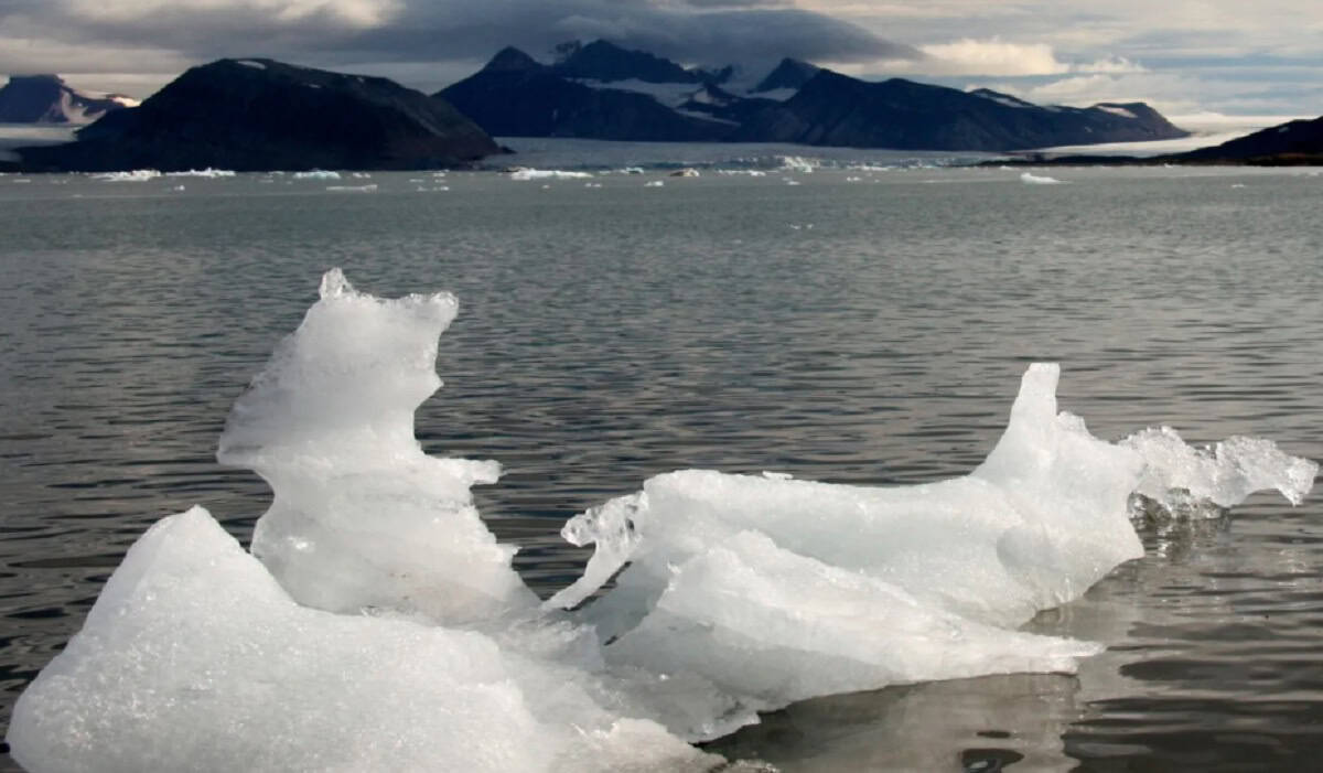 Los glaciares de Svalbard perdieron un 1 % del hielo en solo un verano Los glaciares de Svalbard perdieron un 1 % del hielo en solo un verano