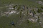 México usa drones para dispersar semillas y reforestar bosques quemados