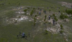 México usa drones para dispersar semillas y reforestar bosques quemados