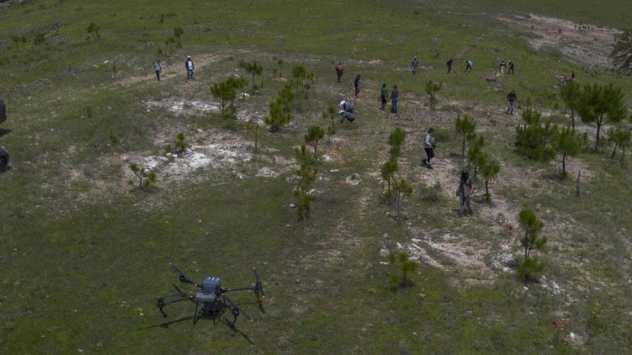 México usa drones para dispersar semillas y reforestar bosques quemados México usa drones para dispersar semillas y reforestar bosques quemados