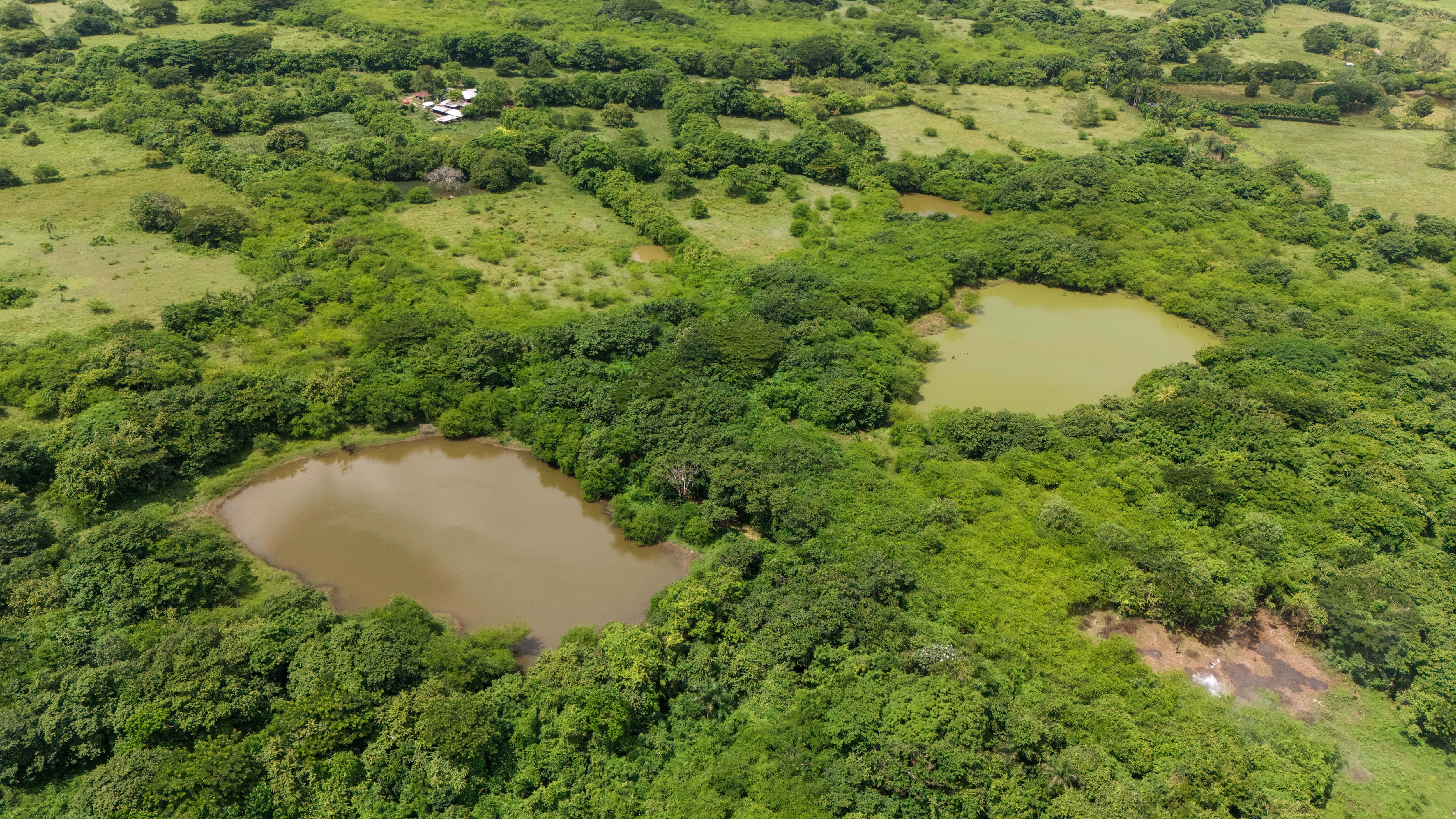 Vista de las lagunas. 