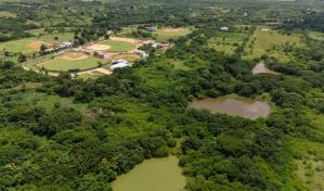 Entre árboles y tierra: así son las lagunas de Los Toros donde Gustavo Talmaré perdió la vida