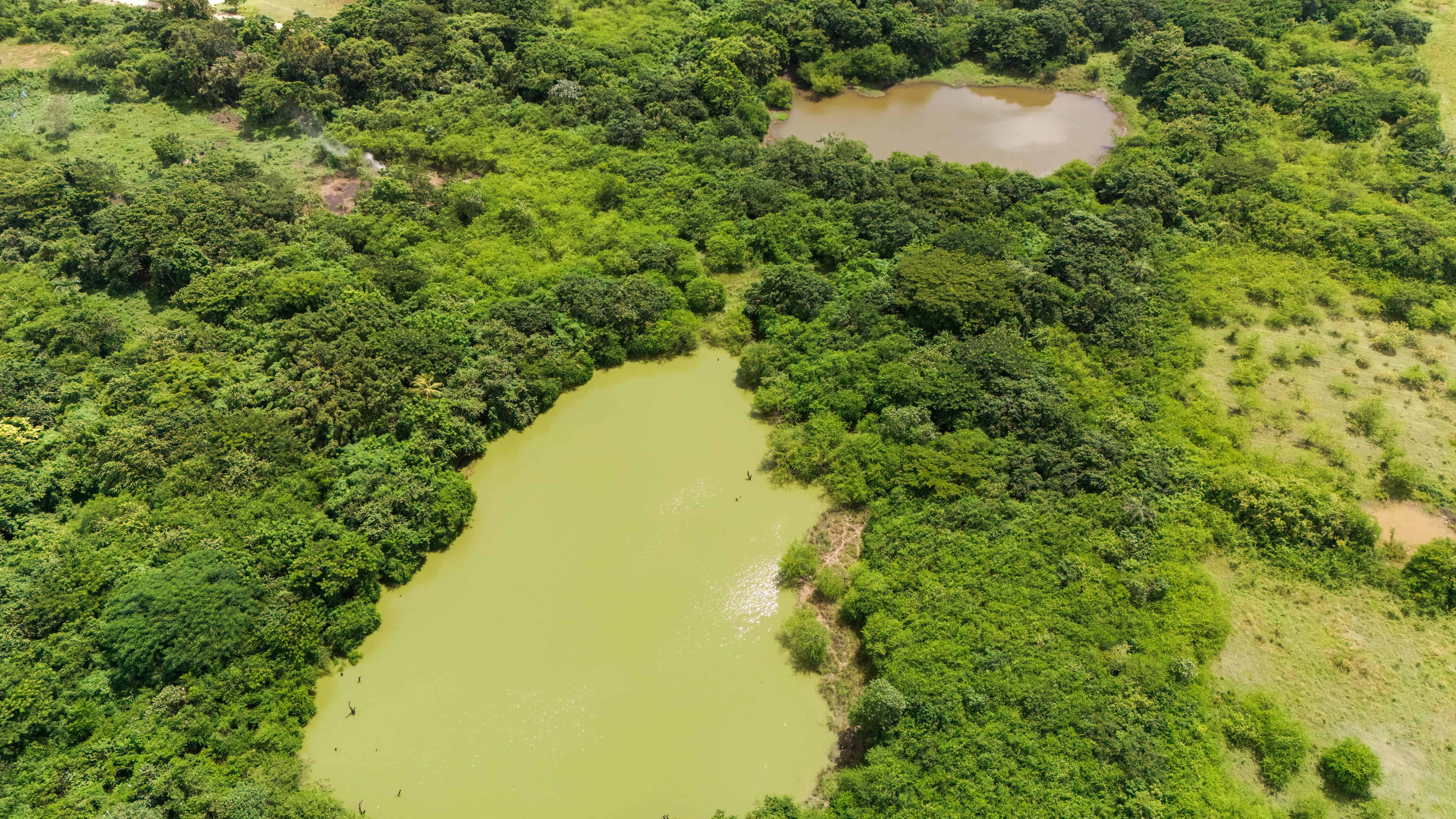 Una laguna de aguas verde rodeada de árboles en el municipio de Guerra. 