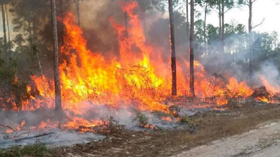 Dos incendios forestales en los Everglades llevan humareda a ciudades del sur de Florida Dos incendios forestales en los Everglades llevan humareda a ciudades del sur de Florida