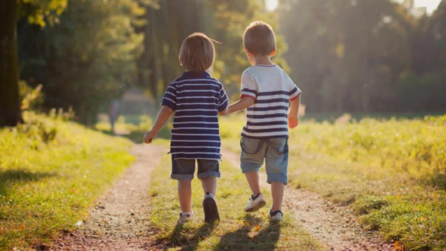 ¿Existe una conexión telepática entre hermanos mellizos o gemelos? ¿Existe una conexión telepática entre hermanos mellizos o gemelos?