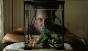 "Sugar Island" triunfa en festivales internacionales con cuatro prestigiosos premios