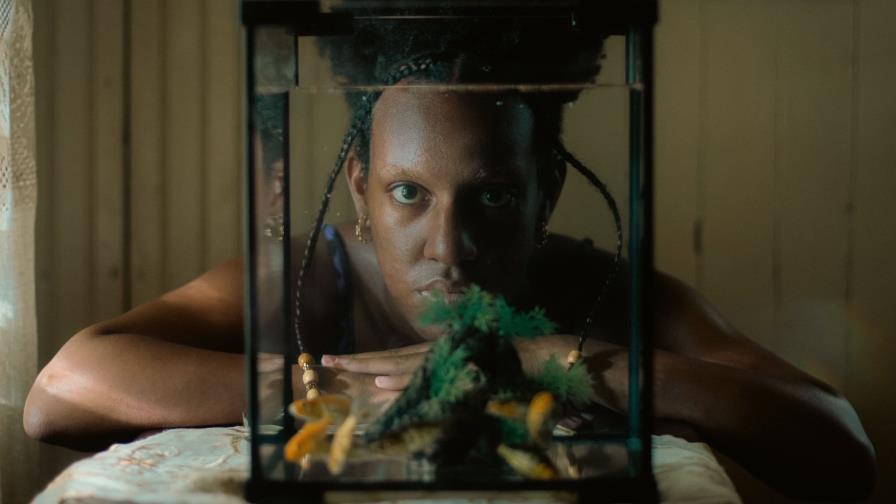 “Sugar Island” triunfa en festivales internacionales con cuatro prestigiosos premios