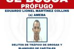 Se escondía en Santo Domingo Este uno de los más buscados de Panamá; fue capturado y deportado