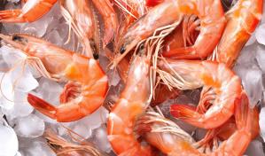 EE.UU. desaconseja consumir camarón congelado de Indonesia por temor a que sea radioactivo