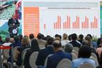 FAO resalta avances en República Dominicana contra el hambre, pero persiste el reto de la obesidad
