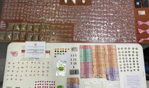 Arrestan a 15 personas y ocupan drogas durante operativos en Santiago y Puerto Plata