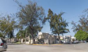 ¿Qué sucede cuando no hay espacio en los cementerios para sepultar a los fallecidos?