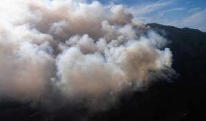 Incendio en Parque Nacional Armando Bermúdez entraría en fase de liquidación entre domingo y lunes