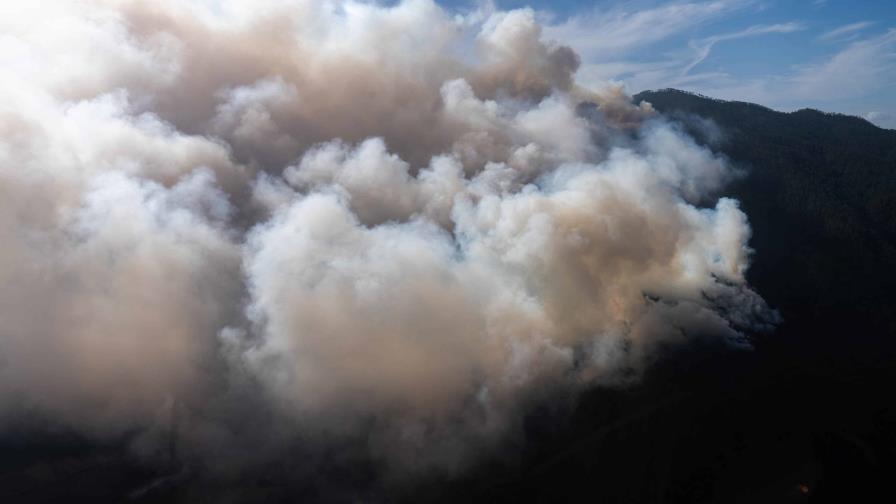 Incendio en Parque Nacional Armando Bermúdez entraría en fase de liquidación entre domingo y lunes Incendio en Parque Nacional Armando Bermúdez entraría en fase de liquidación entre domingo y lunes