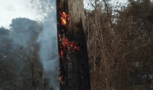 Edesur denuncia incendio intencional que dej&oacute; sin luz a m&aacute;s de 20 comunidades en Barahona