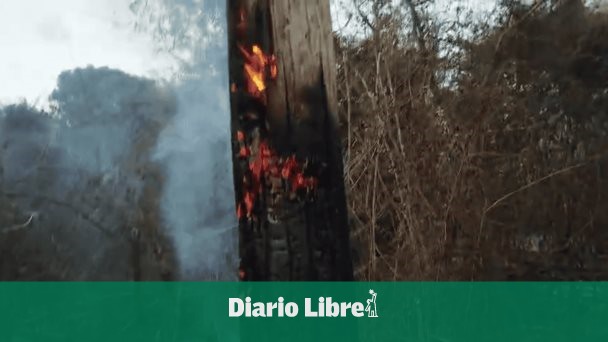 Incendio en redes eléctricas afecta a comunidades de Barahona