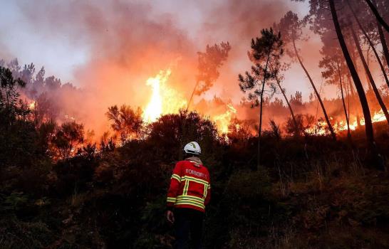 Presidente de Portugal promulga decreto ley con medidas para paliar efectos de incendios