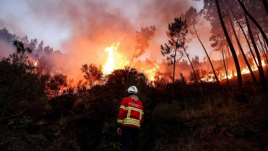 Presidente de Portugal promulga decreto ley con medidas para paliar efectos de incendios Presidente de Portugal promulga decreto ley con medidas para paliar efectos de incendios
